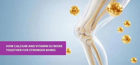 The Power Duo: How Calcium and Vitamin D3 Work Together for Stronger Bones - Phlox Pharma